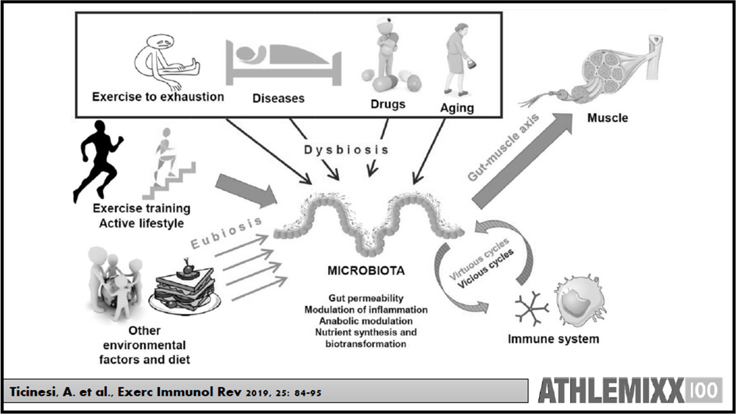 microbiota e probiotici nella dieta degli sportivi